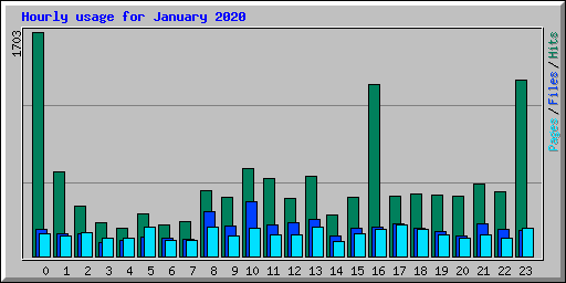 Hourly usage for January 2020