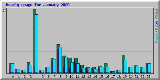 Hourly usage for January 2025