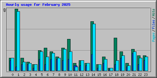 Hourly usage for February 2025
