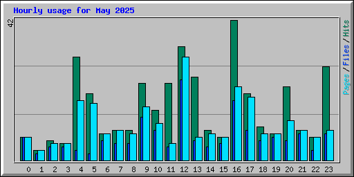Hourly usage for May 2025