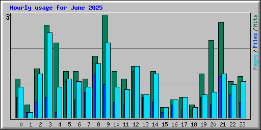Hourly usage for June 2025