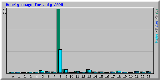 Hourly usage for July 2025
