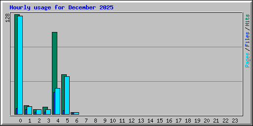 Hourly usage for December 2025